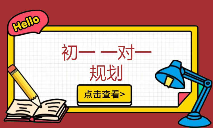 初一 一对一规划